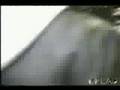 2Pac Bootlegger - (Strictlyballin.net)
