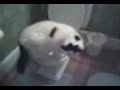 Ozzy:  Caught in the Act!