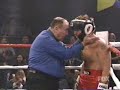 Bonaduce Williams boxing