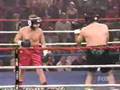 Bonaduce Williams boxing