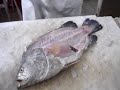 Fileteando Pescado