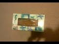 Gato en una caja de pañuelos