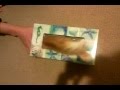 Kitten In A Tissue Box