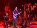 david gilmour coming back to live