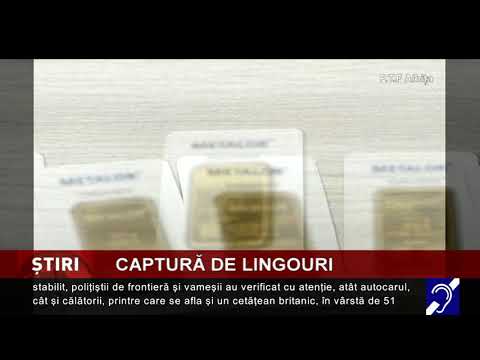 Captură de lingouri de aur, la PTF Albița