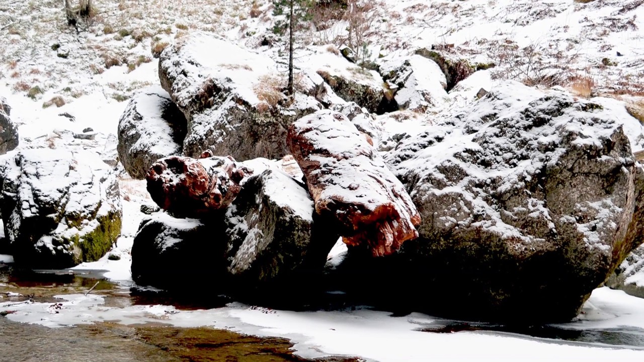 Ernesto Cortazar. Silver moon.