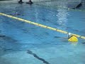 Sandra Vallelunga Apnea Dinamica 110 mt. C. I. Roma 2004