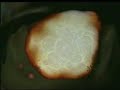 People of The Sun - Rage Against the Machine