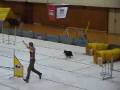 Monty - Zlatá překážka 2008