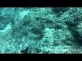 Aquascape Mindfulnesss Meditation | 20m - HD