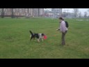 tash & vanya, frisbee flips, november 2008 tash & vanya, frisbee flips, november 2008
