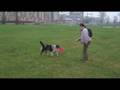 videos de tash & vanya, frisbee flips, november 2008