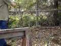 videos de cold steel can cut test