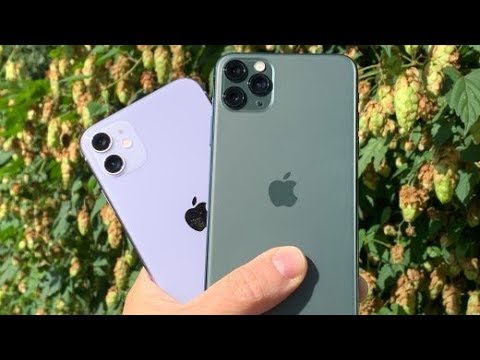 Die neuen iPhones im Test: iPhone 11 ist ein No-Br ...