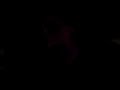 lotzi nebunu beius lotzi nebunu beius