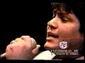 Pecadora - Nectar