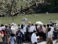 Mifune Matsuri