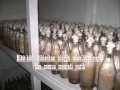 Cara Mudah Budidaya Jamur Tiram.wmv
