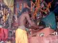 chilling with a rishikesh sadhu