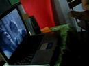feast day celeb. prt 7