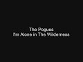 the pogues   im alone in the wilderness