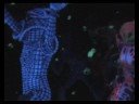 Fluoro theater FluraNatura part 1 Fluoro theater FluraNatura part 1