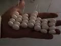 stupid coca cola   mentos music video
