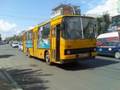 Transportul in comun din Baia Mare - Maramures