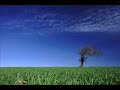 One Man Choir (Sampled Voice Experiment) One Man Choir (Sampled Voice Experiment)