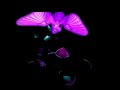 Planescape Torment -18- Ignus fight Planescape Torment -18- Ignus fight