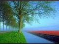 song teyray leyah by fawad