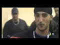 Larbi-BiGG the Dog