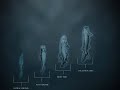 Enli - Evolución