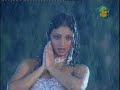 Nida Chaudhry, Badlaan Cho Wassiyaan Ne,...