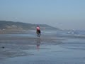 galop sur la plage