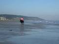 galop sur la plage