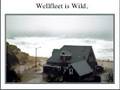 Wellfleet Scenes