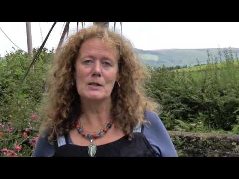 Michele Knight Psychic Erin