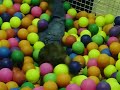 joao 1002.MOV