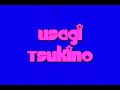 Usagi Tsukino/Sailor Moon's Titantron