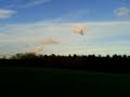 300mph wing