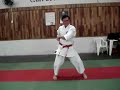 Wong Karate Kata Naihanchi Shodan - Shorin-ryu Shin Shu Kan