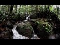 Видеообзор Samyang 8mm f/3.5 AS IF UMC Fish-eye CS II AE Nikon