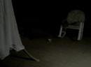A late night visitor A late night visitor