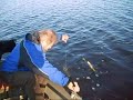 Keväthauki iskee koukkuun