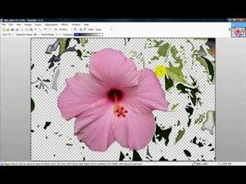 how to remove white background in paint