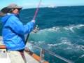 Kingfish 30kg Jigging New zealand