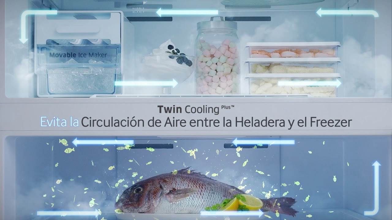 Twin Cooling Plus