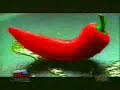 Amor Vegetariano Amor Vegetariano