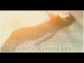 videos de Intro [Daring Will]